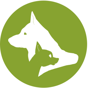 logo chien